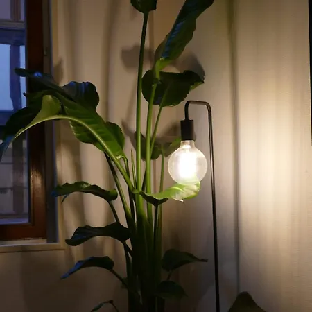 Confort En Couleurs Apartment Rouen