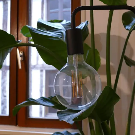 Apartment Confort En Couleurs