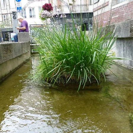 Confort En Couleurs *