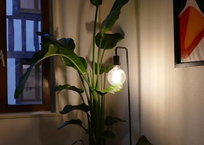 Confort En Couleurs Apartment Rouen