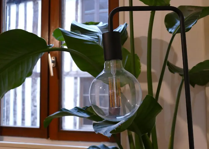 Apartment Confort En Couleurs