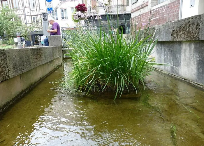 Confort En Couleurs *